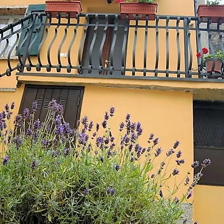 Bed & Breakfast Il Sicomoro 3*