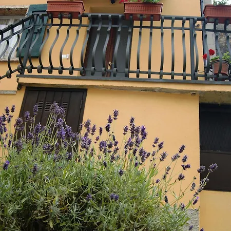 Il Sicomoro 3* Castion Veronese