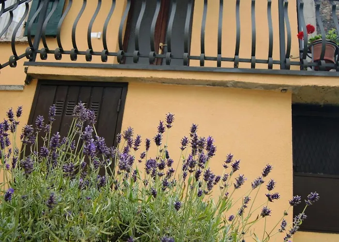 Il Sicomoro 3* Castion Veronese